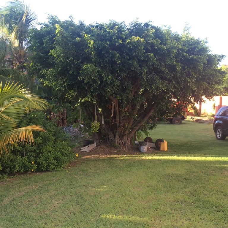 Cool Premier Apts. - Airport/Sgu Blow Hole المظهر الخارجي الصورة